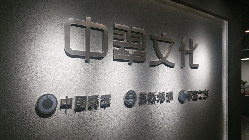 瑞麗航標（biāo）學校LOGO設計案例展示圖片六